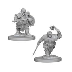 Nolzur's Marvelous Miniatures - Dwarf Fighter